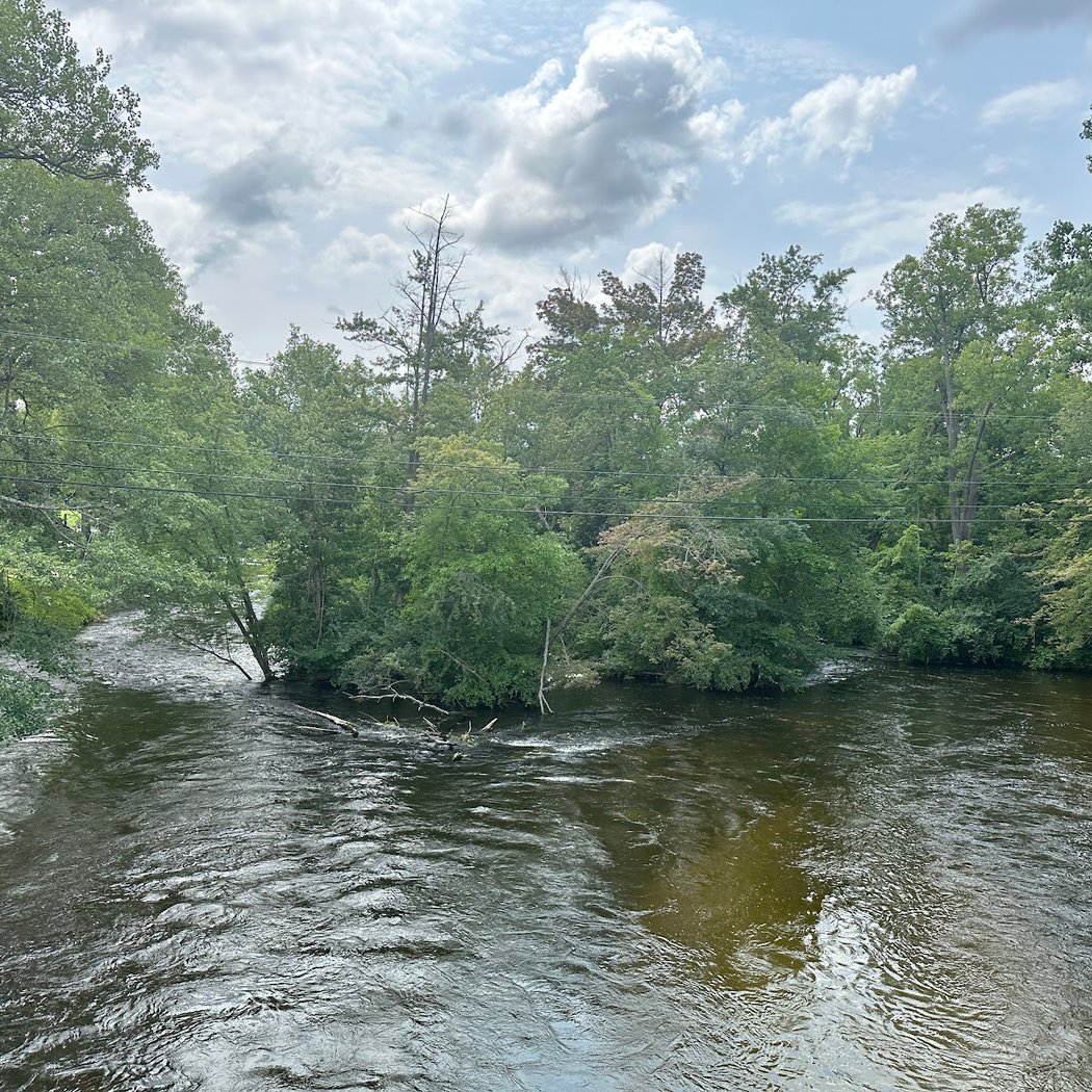 Nature Journaling Workshop 2