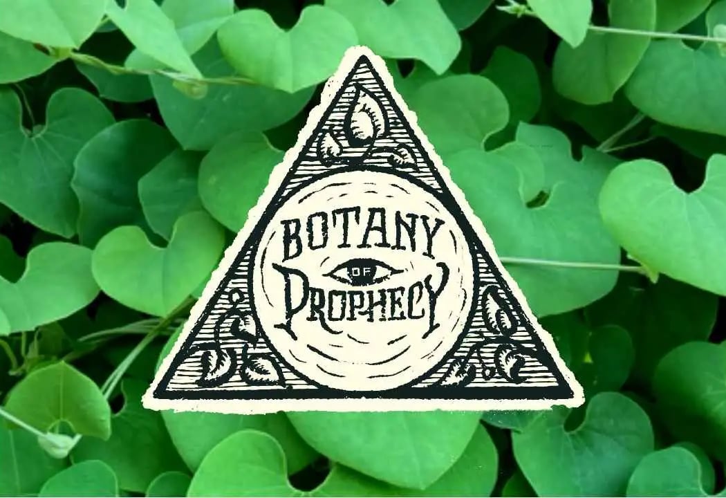 Fragrance Walk and the Botany of Prophecies