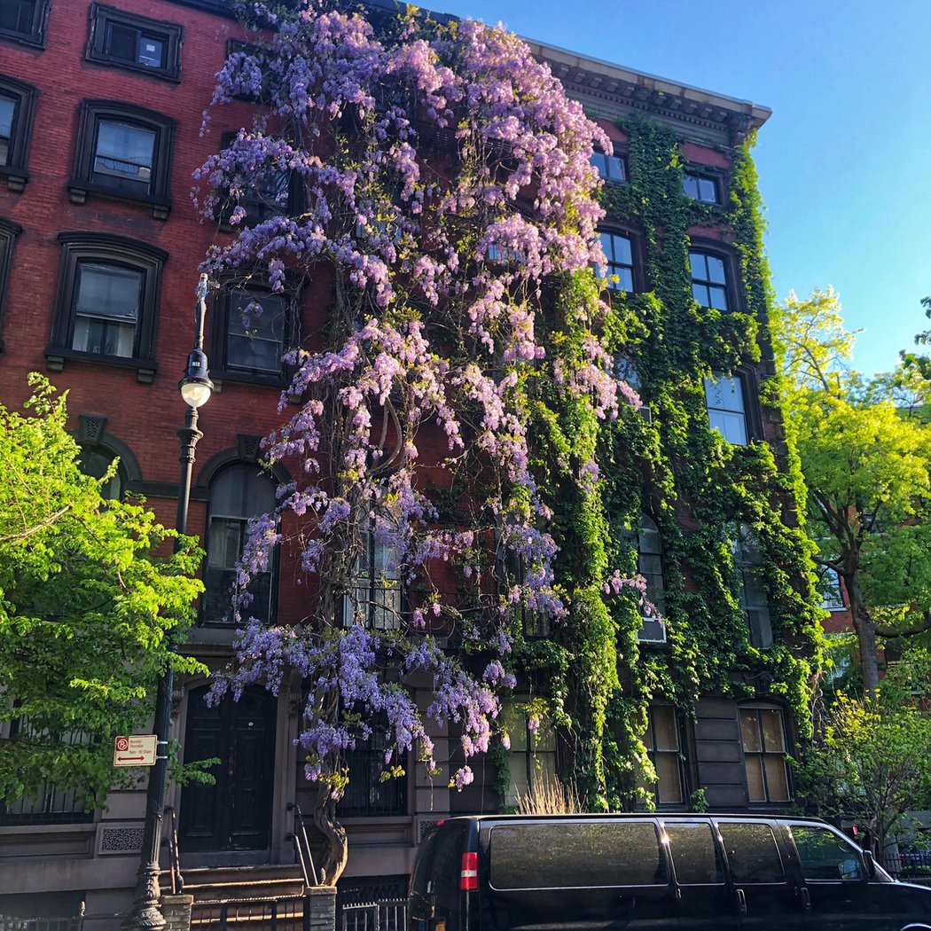 Stuyvesant Street 1