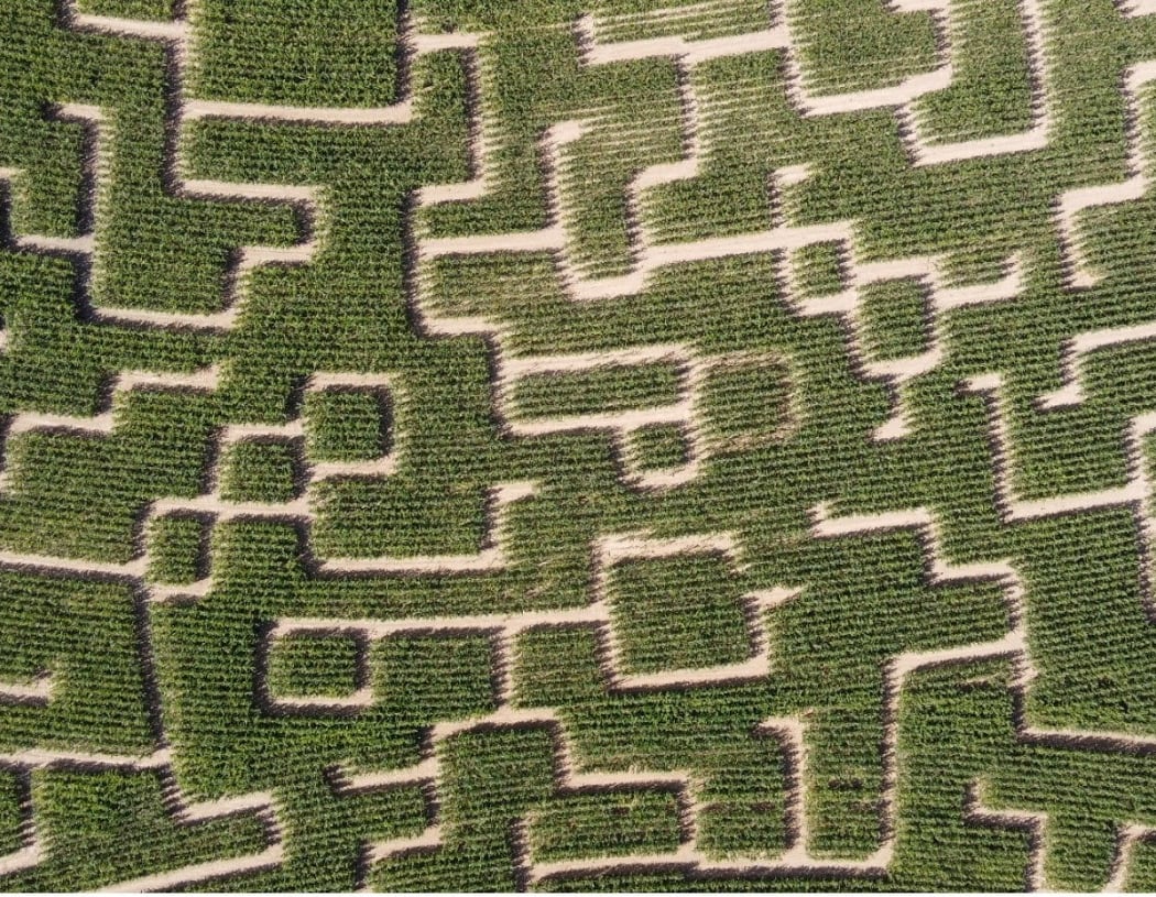 Yvelines - Labyrinthe de maïs - Magny Les Hameaux 1