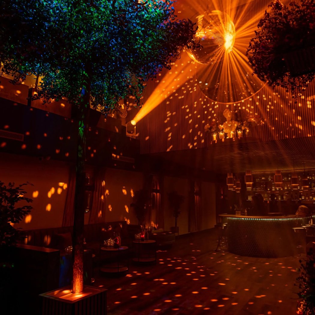 The Amicus Ball: A Night of Two Realms