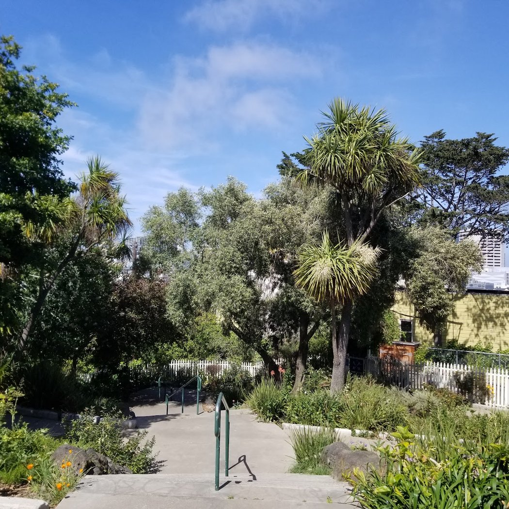 Koshland Park 3