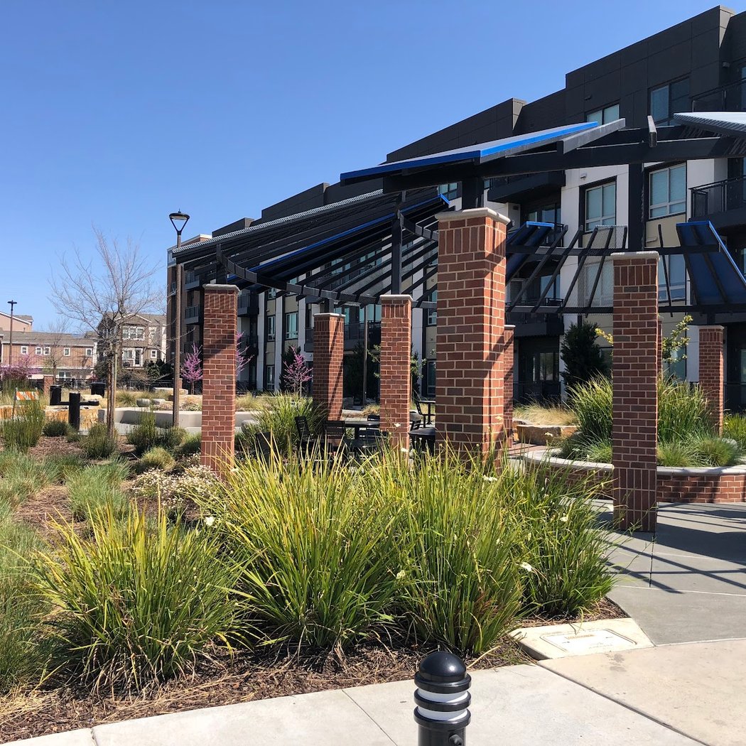 Cannery Park 2