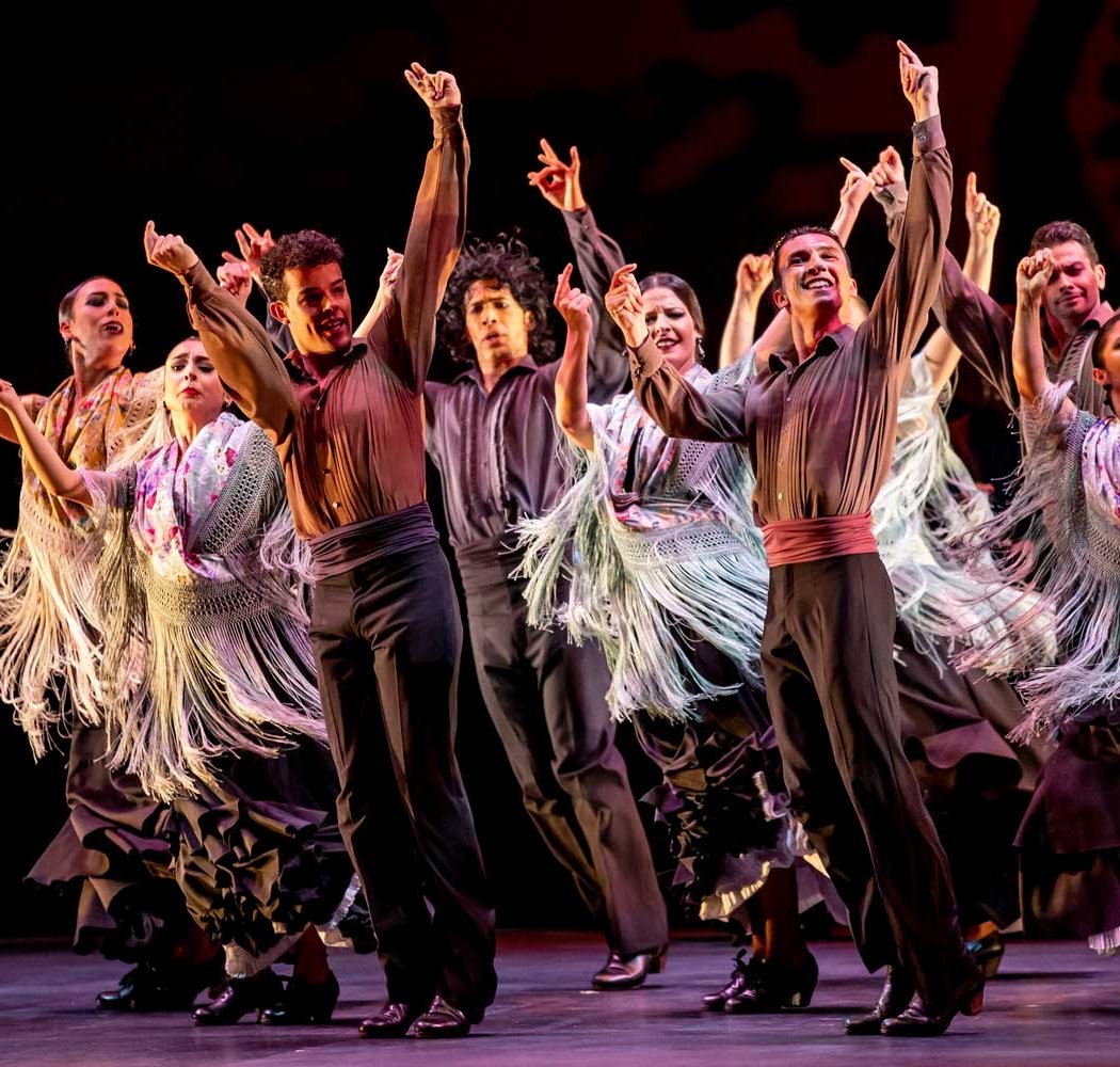Ballet Flamenco de Andalucía 2