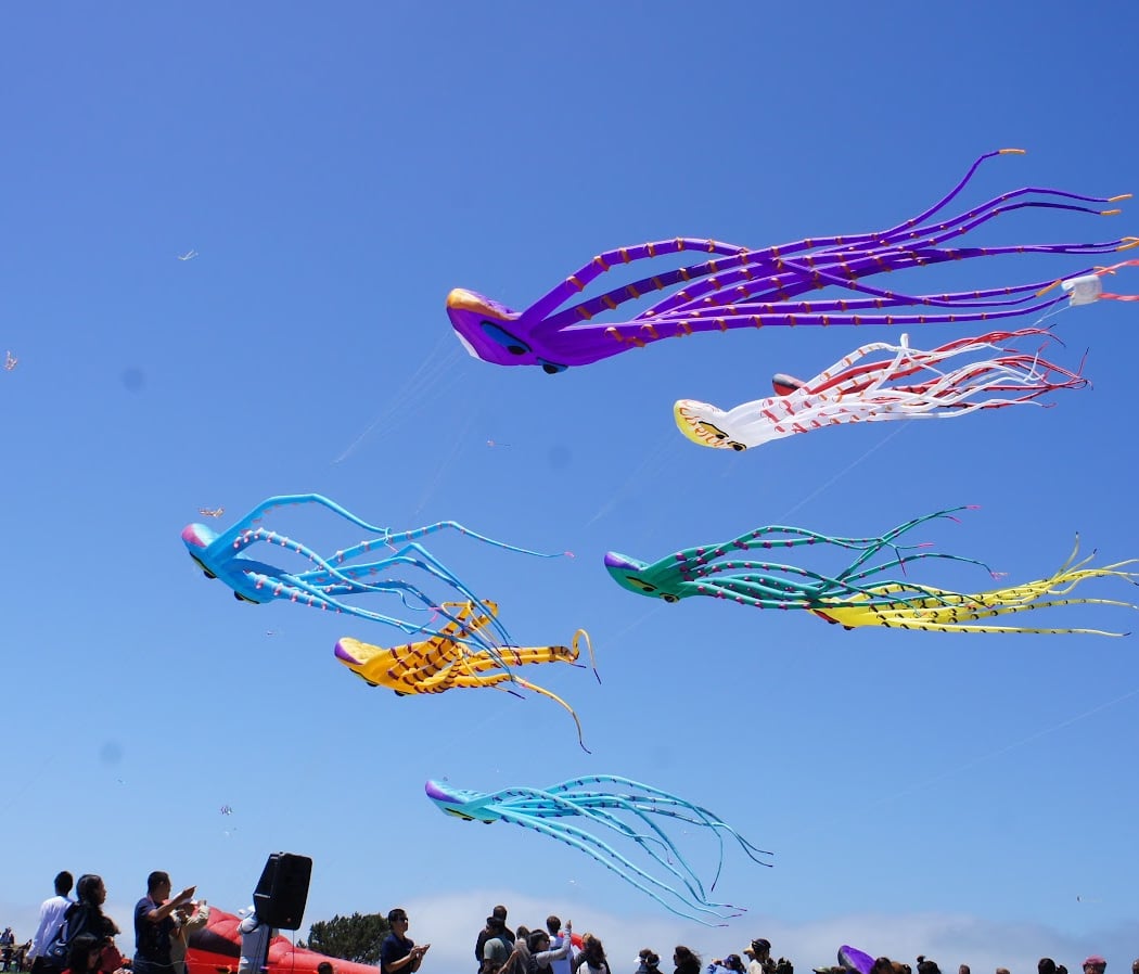 Berkeley Kite Festival 1