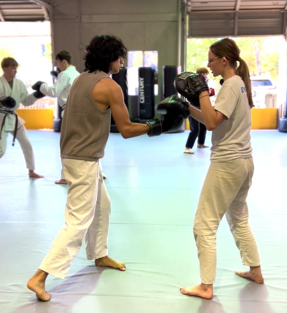 Practical Martial Arts 3