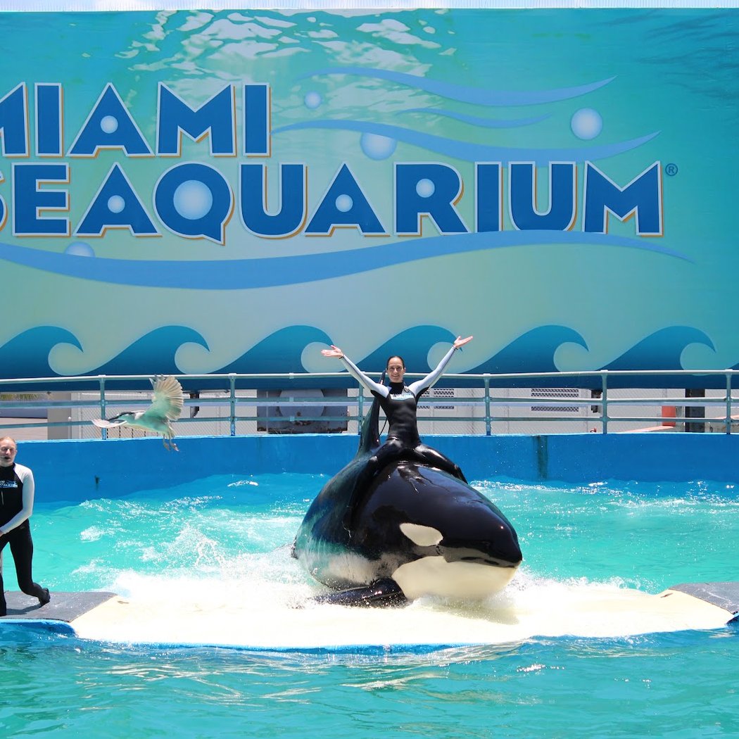 Miami Seaquarium 3