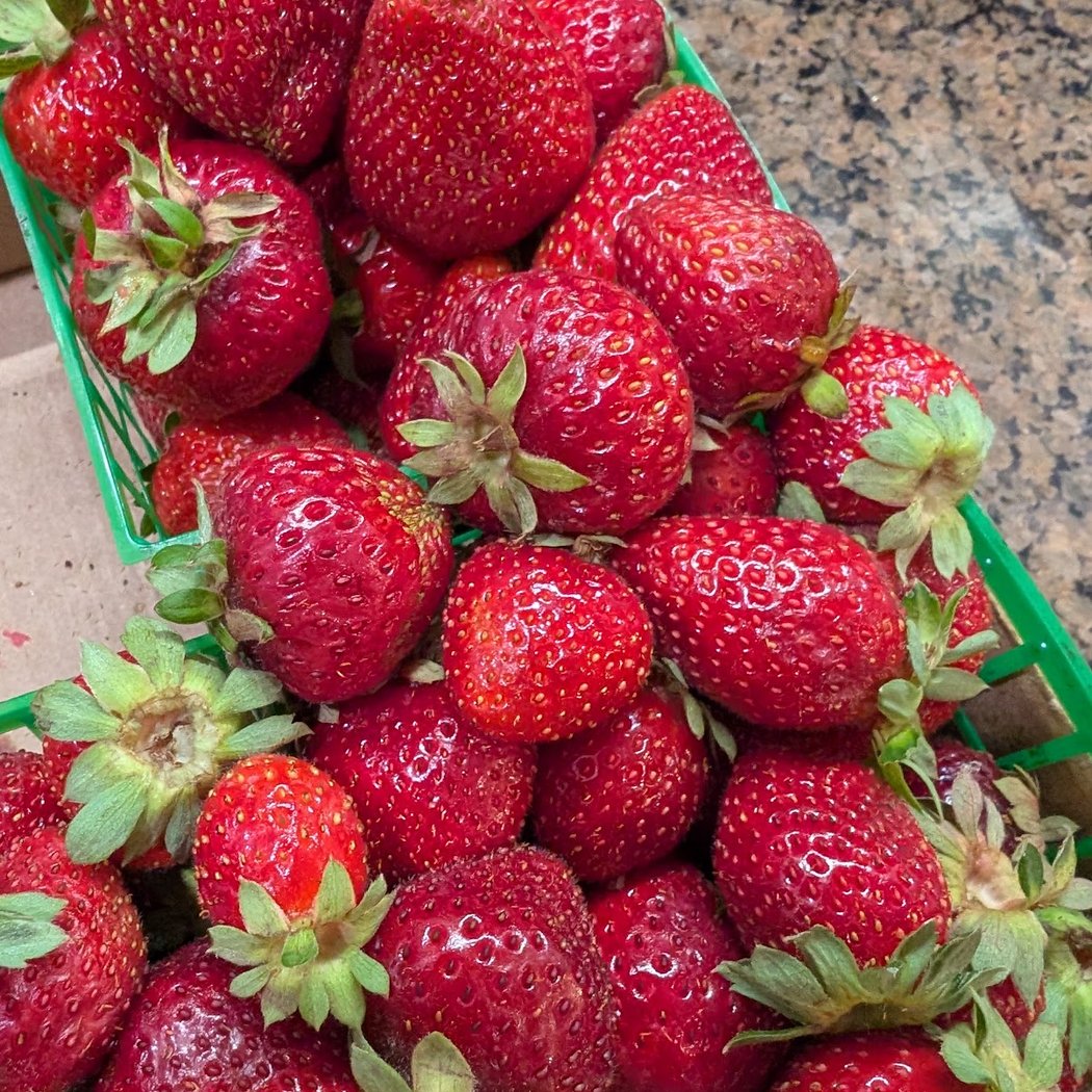 Strawberry Patch 1