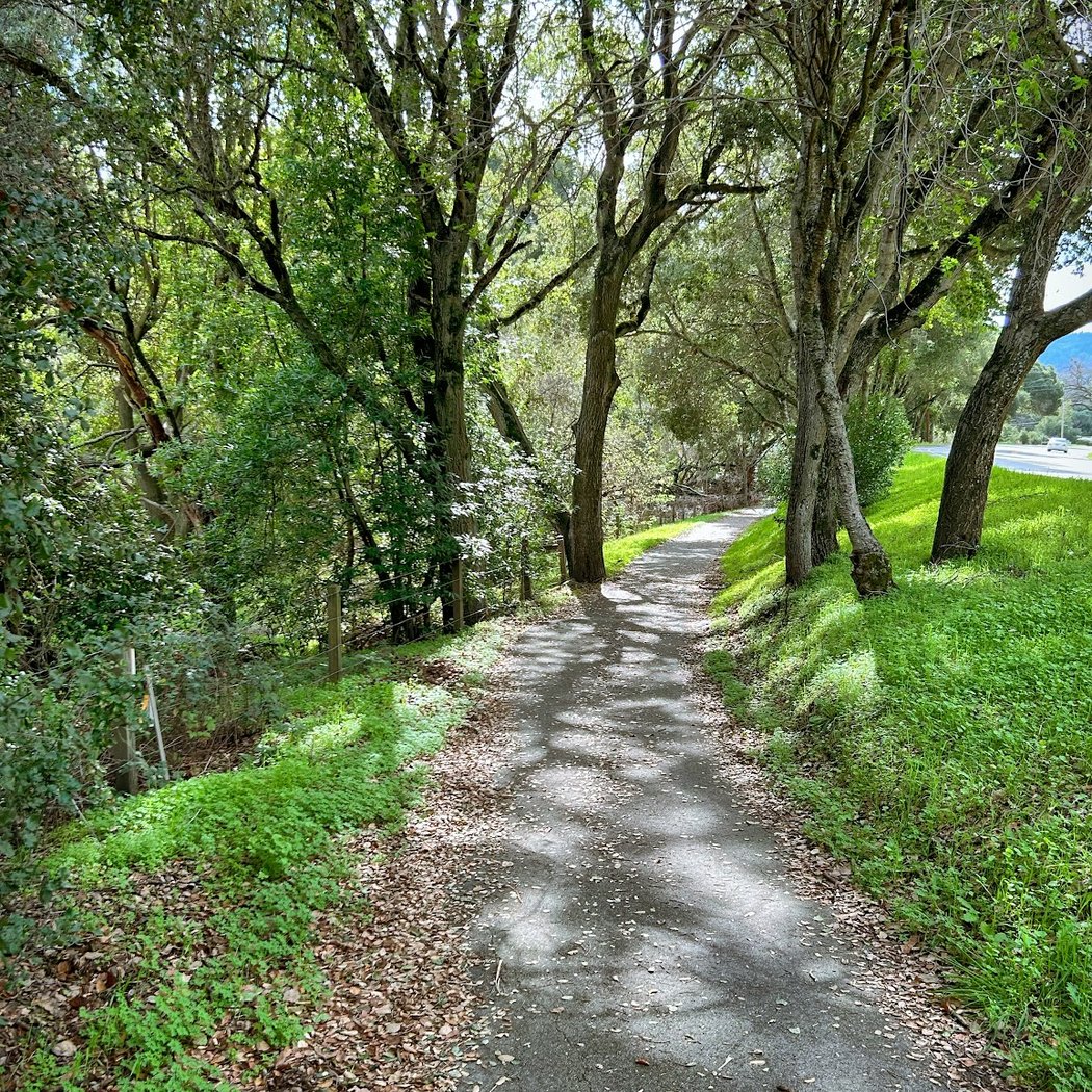 Alpine road bicycle trail 1