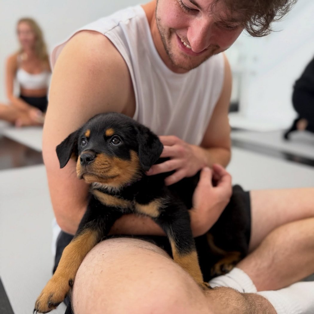 Rottweiler Puppy Yoga 2
