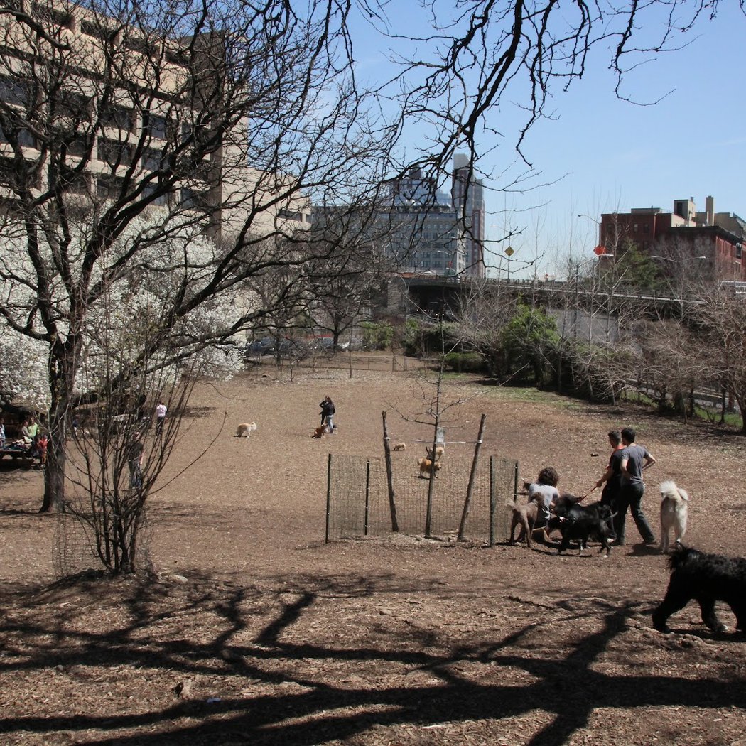Hillside Dog Park 4