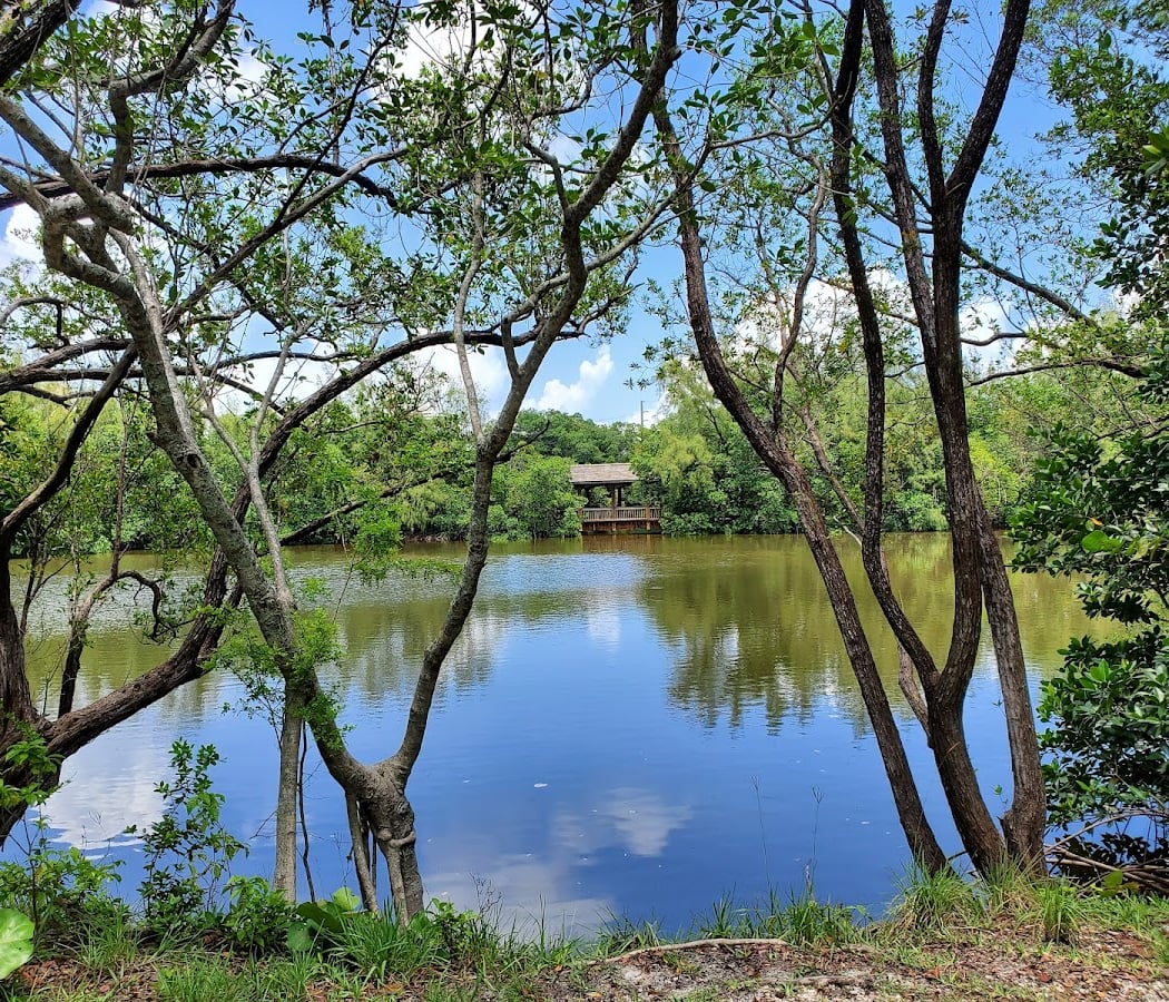 Greynolds Park 1
