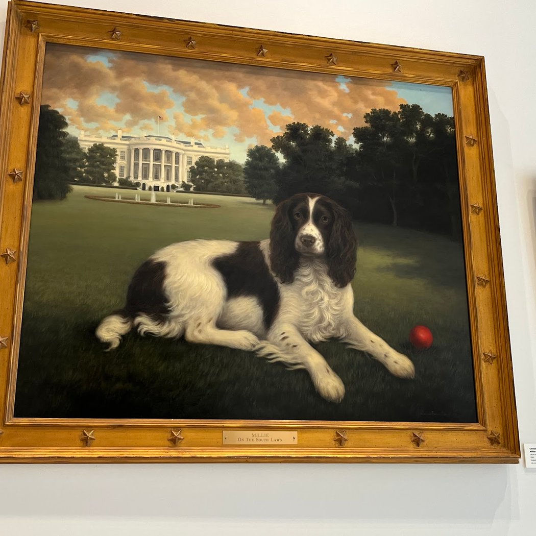 Presidential Dogs 1