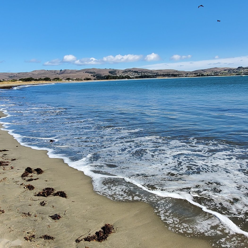 Doran Beach 2