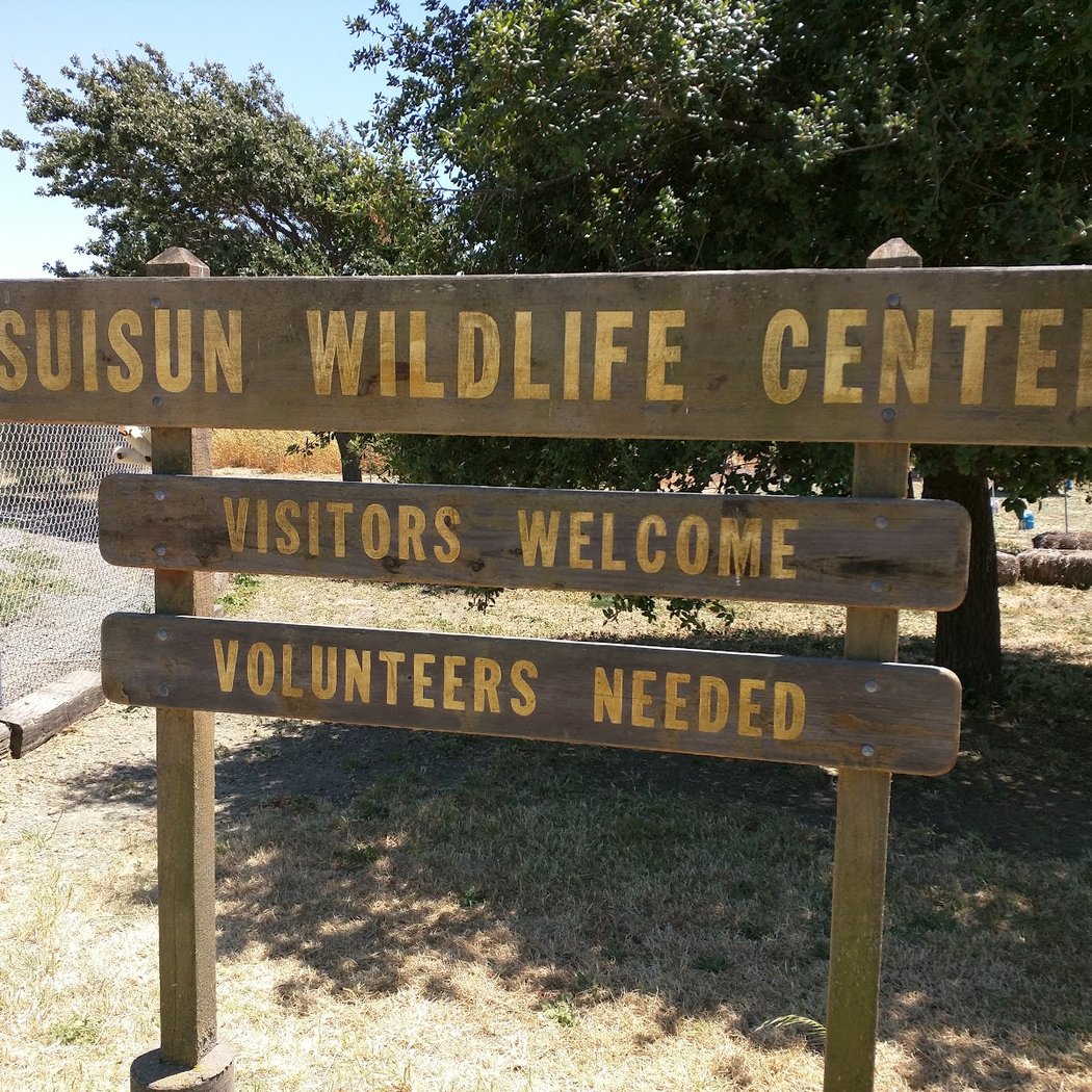 Suisun Wildlife Center 3