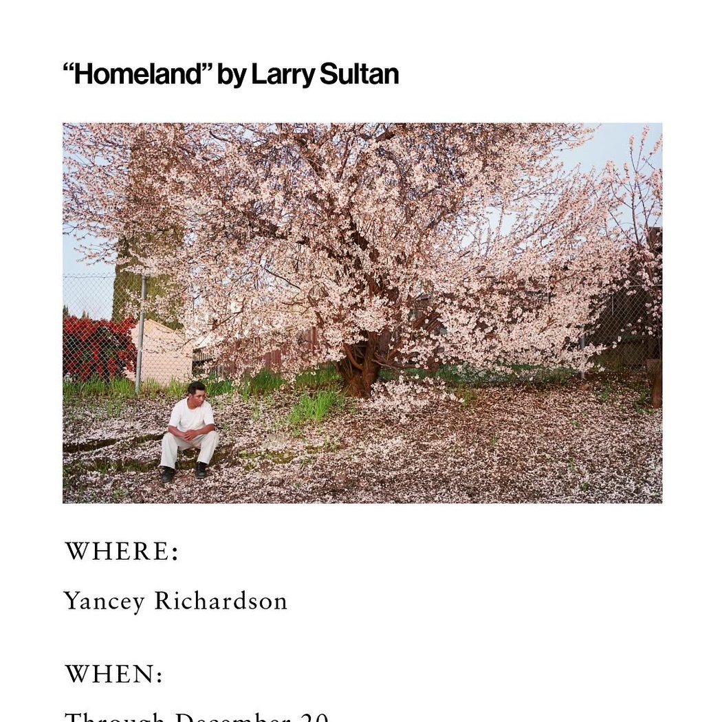 Homeland by Larry Sultan 1