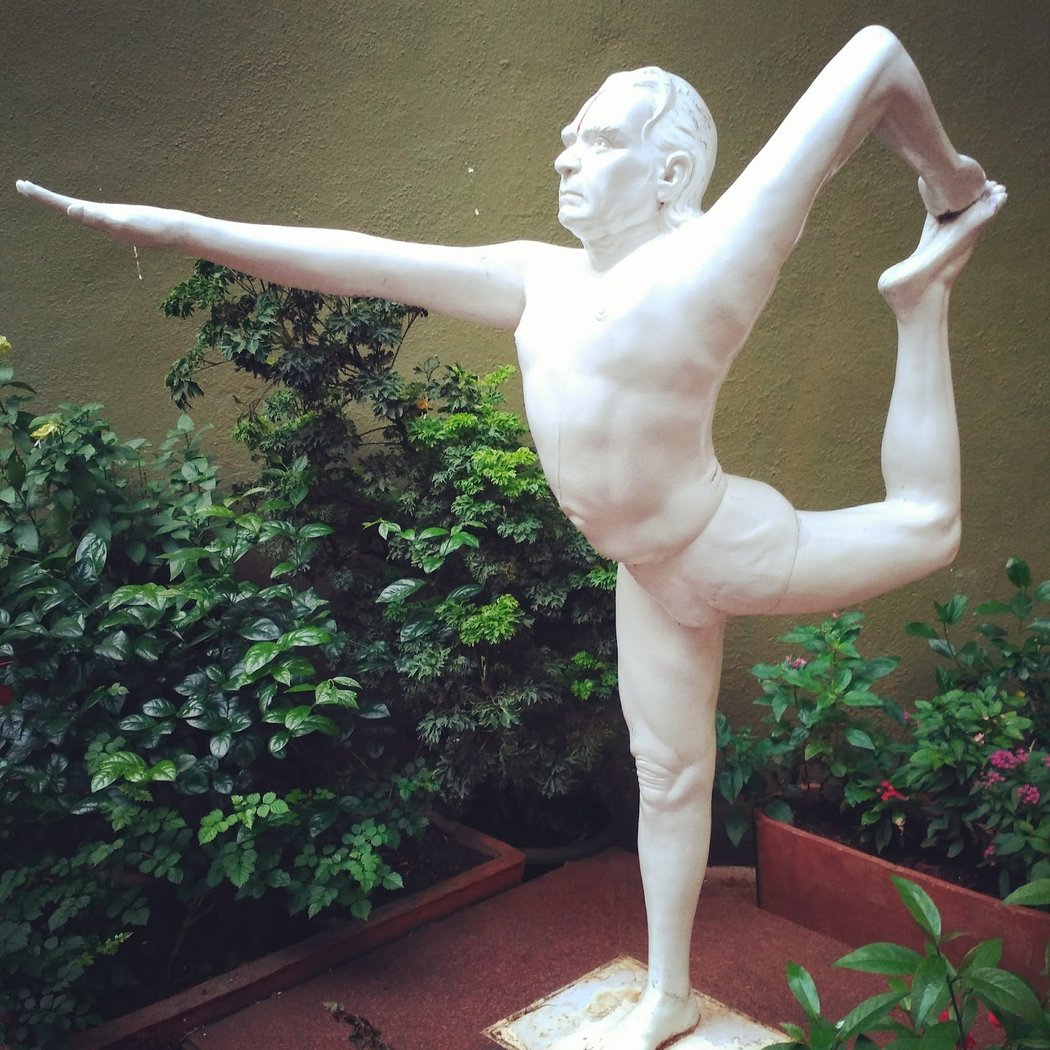 Ramamani Iyengar Memorial Yoga Institute 1