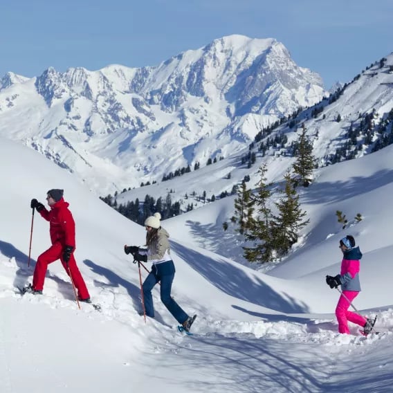 Le Chalet des Dolines 1