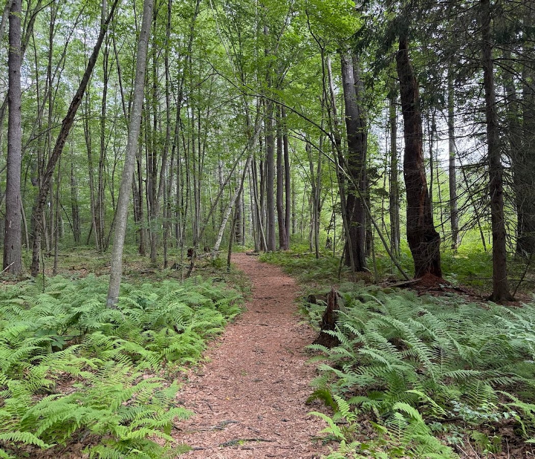 Nashoba Brook 1
