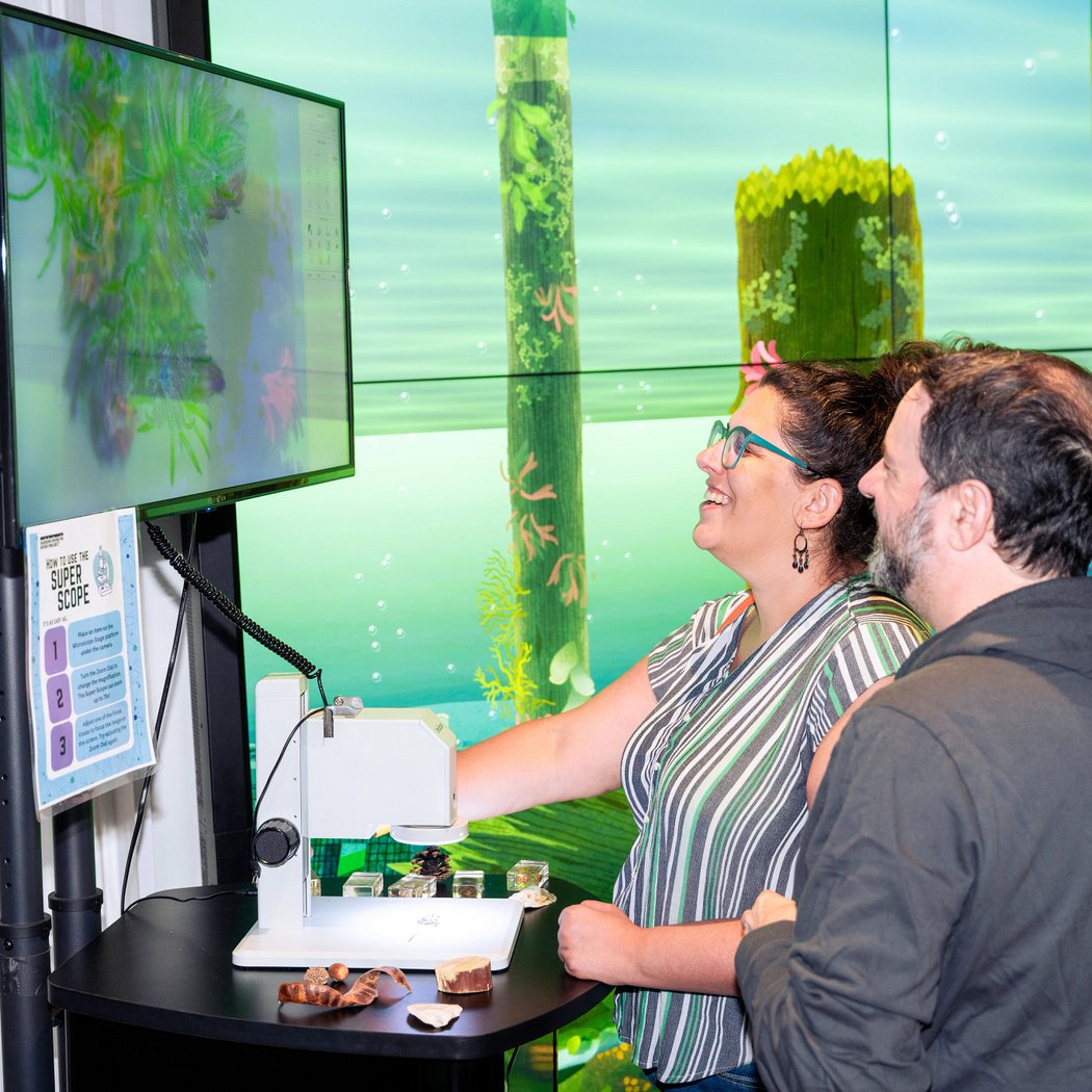 Guided Gallery Hours (Discovery Tank) 1
