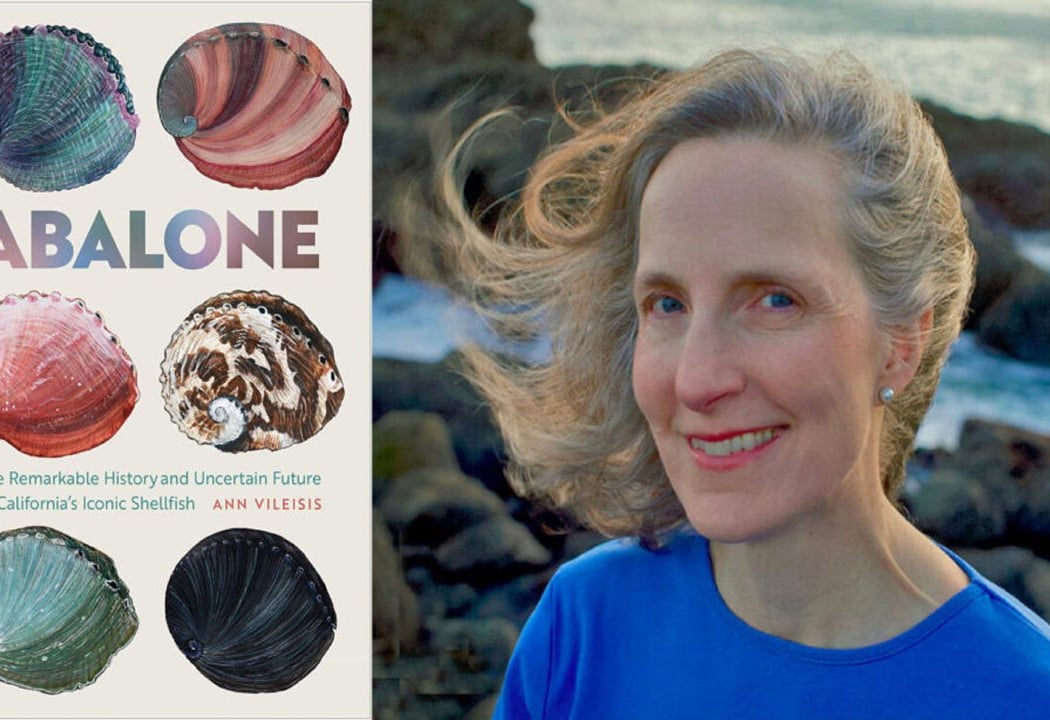 Abalone: The Remarkable History of an Iconic Shellfish 1
