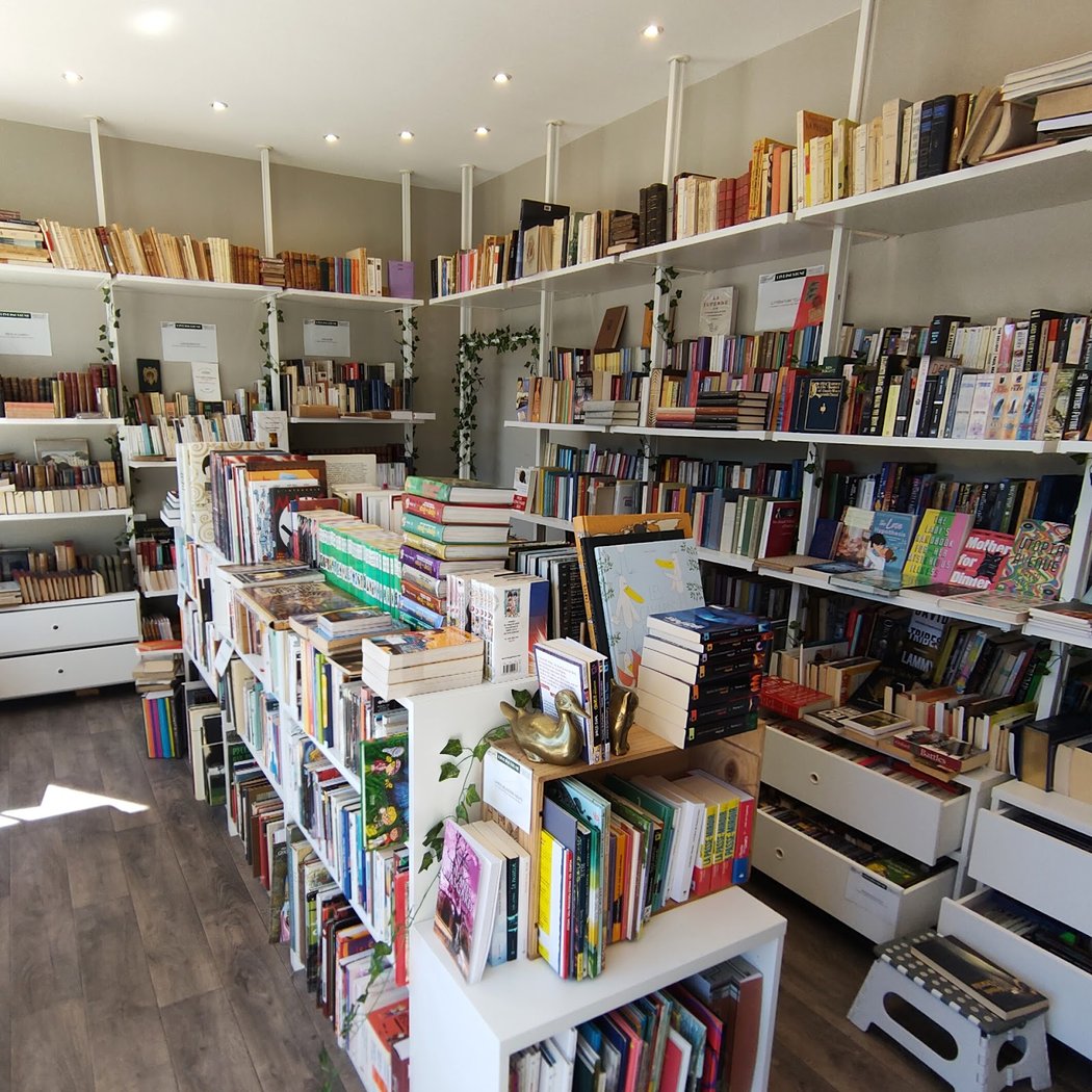 Librairie Livringstone 3