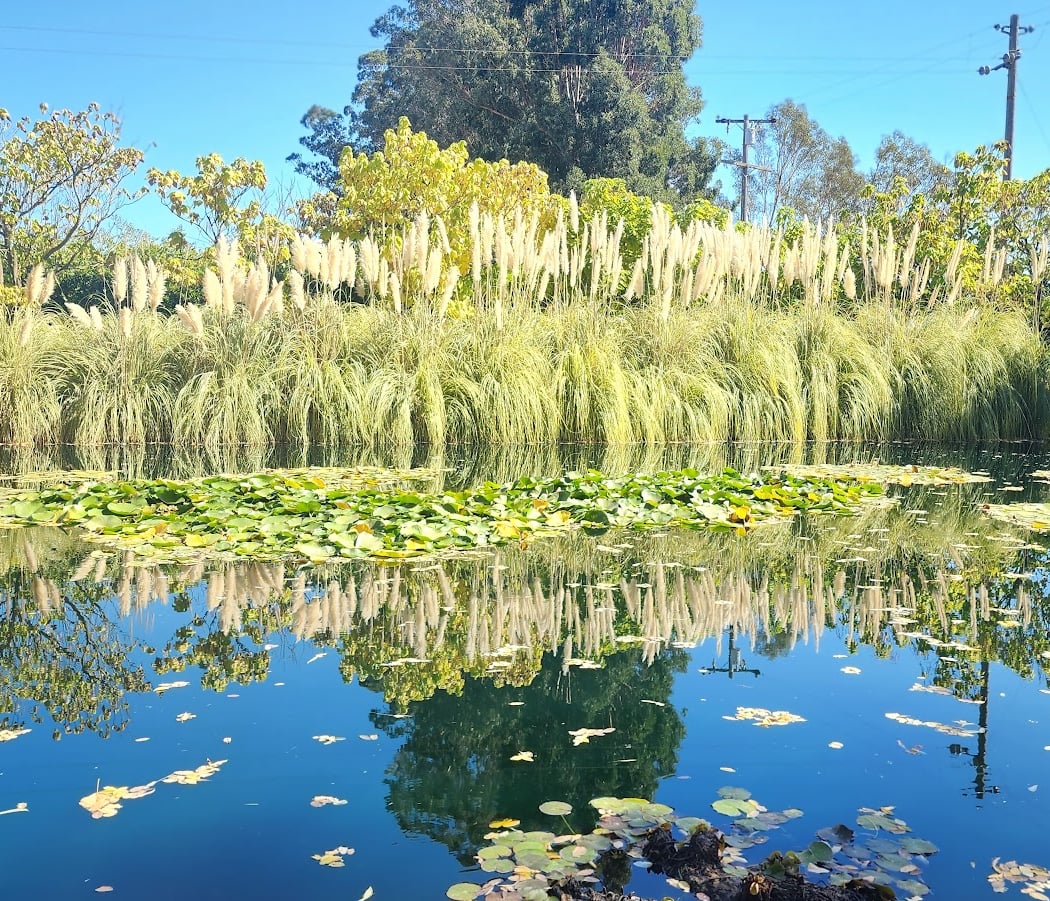 Sunset Test Gardens at Cornerstone Sonoma 3