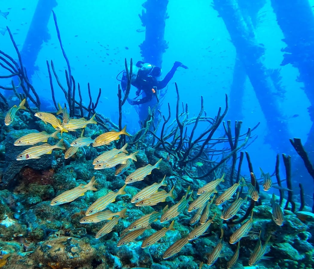 Salt Pier 1