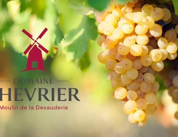 Portes Ouvertes au Domaine Chevrier 1