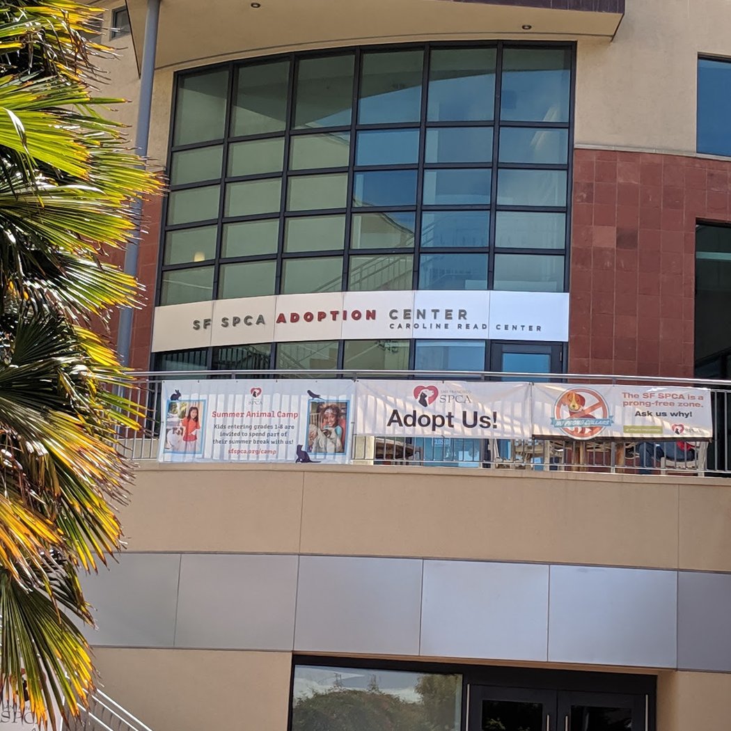 San Francisco SPCA Veterinary Hospital 2