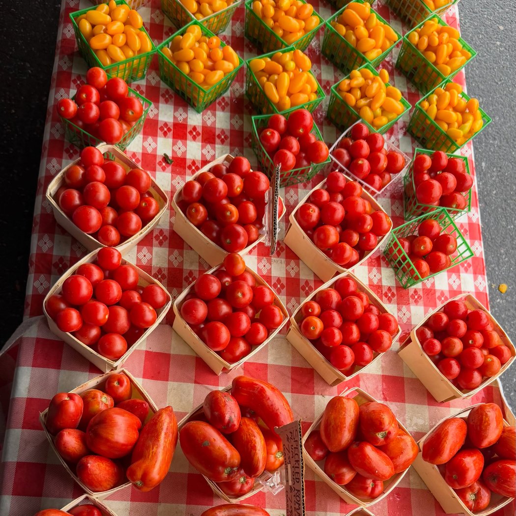 Kingston Farmers Market 1