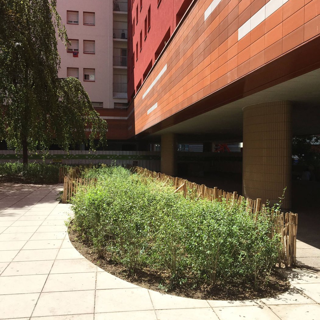 Square des Saisons 3