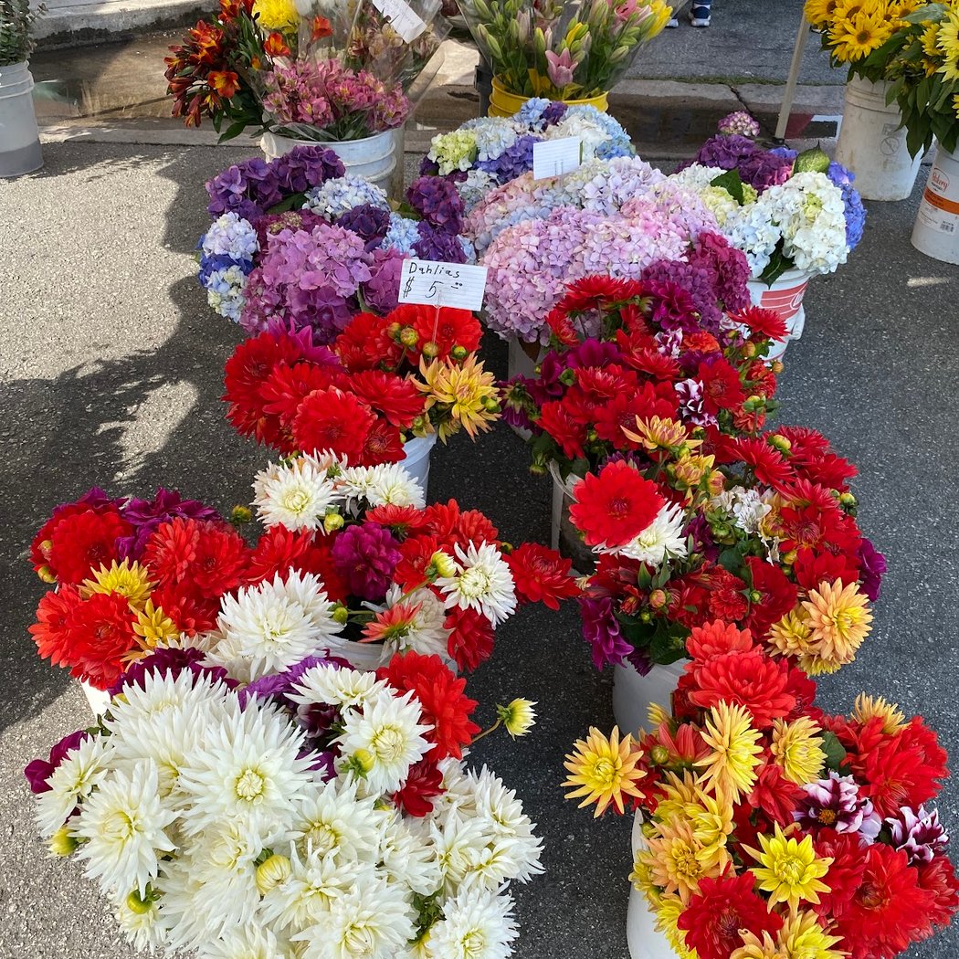 San Carlos Farmers Market 1