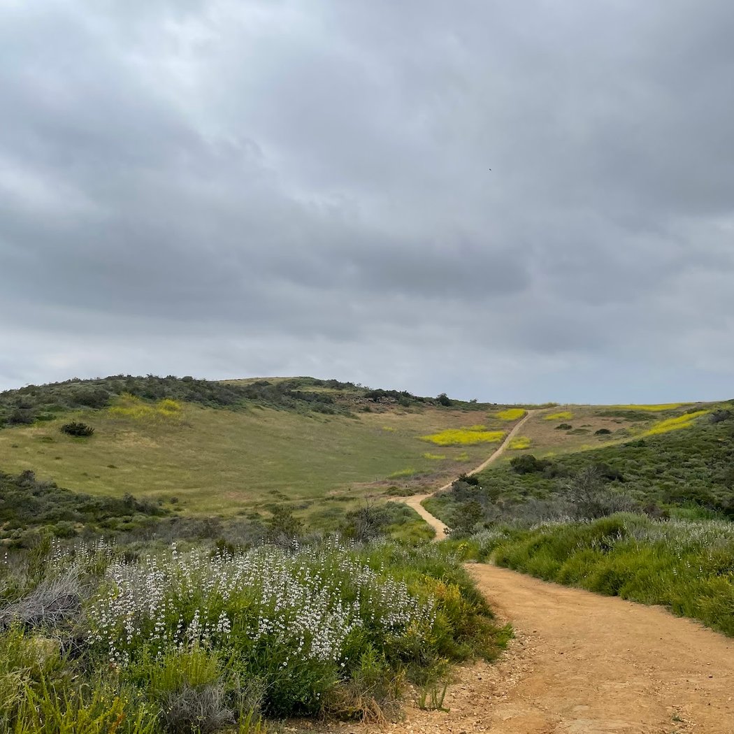 Keep It Wild – Laguna Coast 4