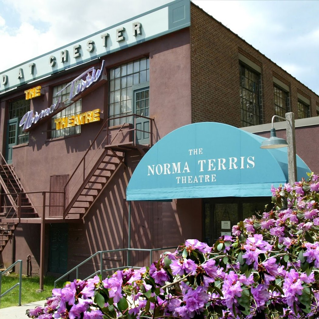 The Terris Theatre 2