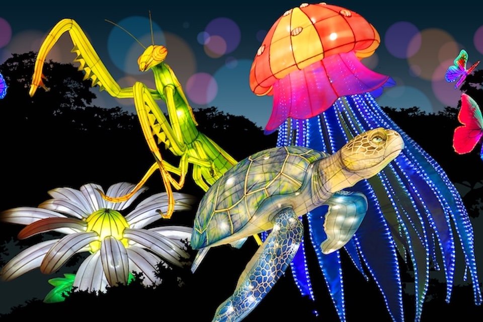 Glowfari Lights 2