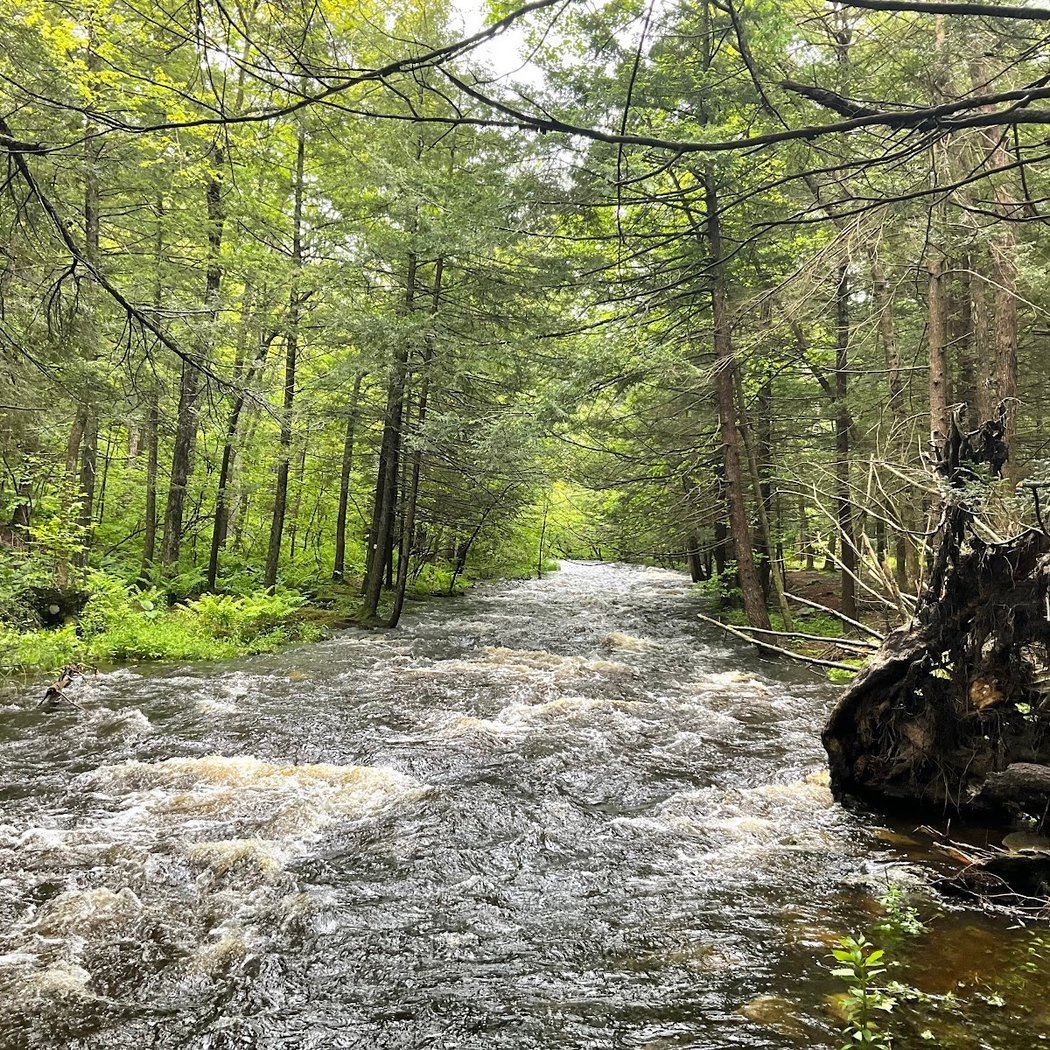 Stokes State Forest 3