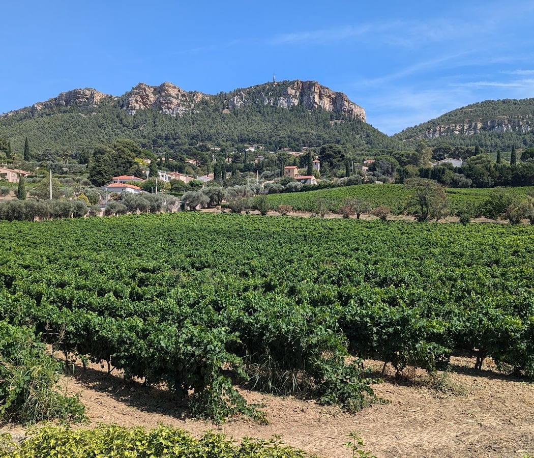 Domaine du Bagnol 3