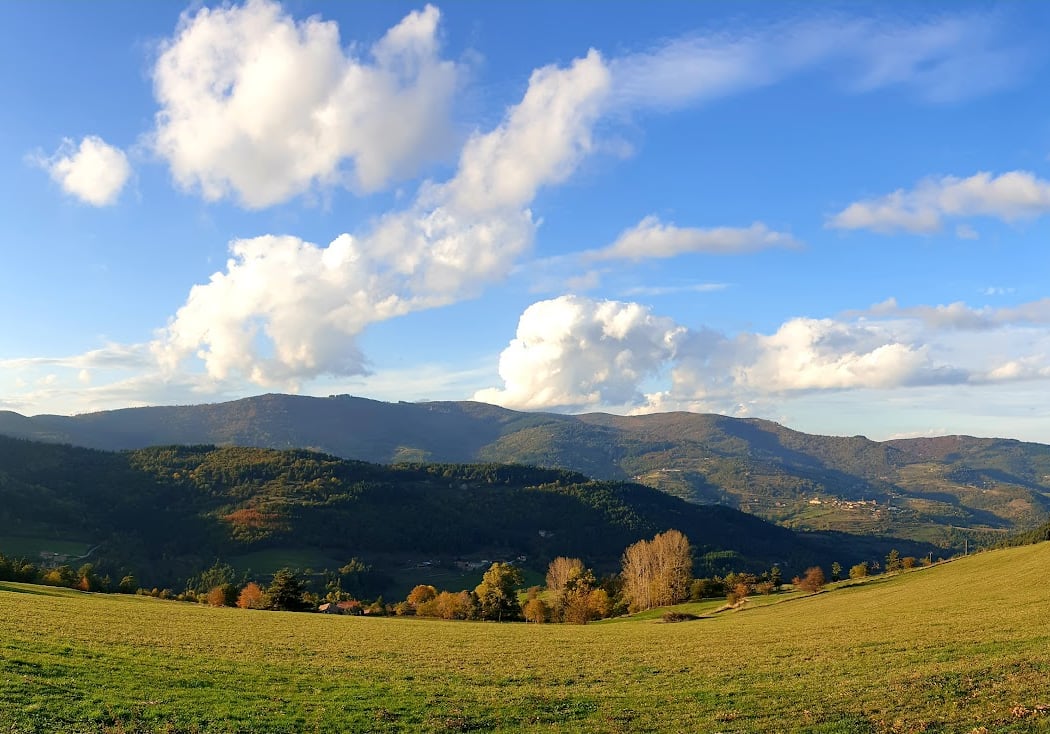 Saint-Félicien 1