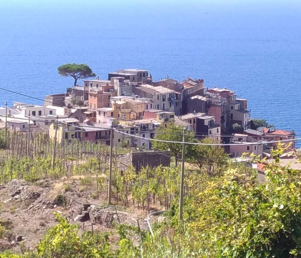 Cinque Terre 2