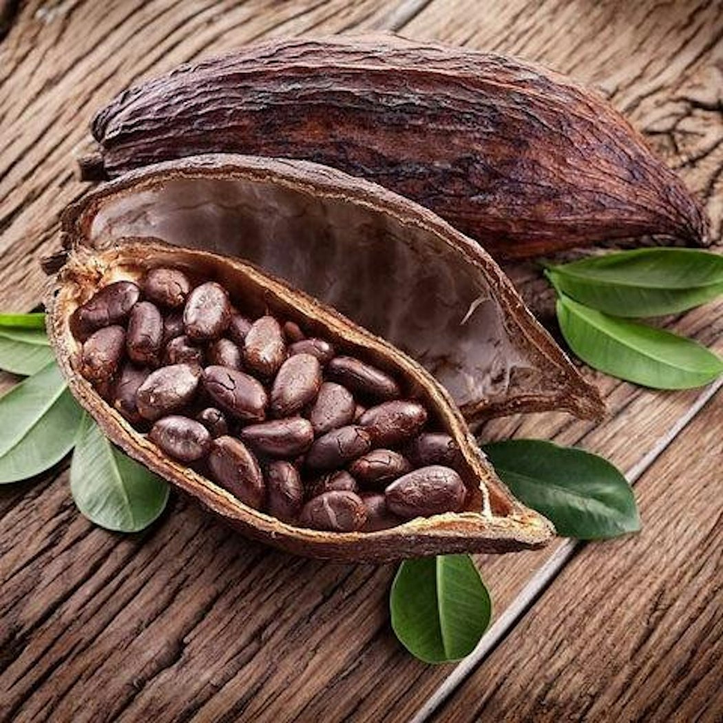 Ancestral Beans" Chocolate Tasting