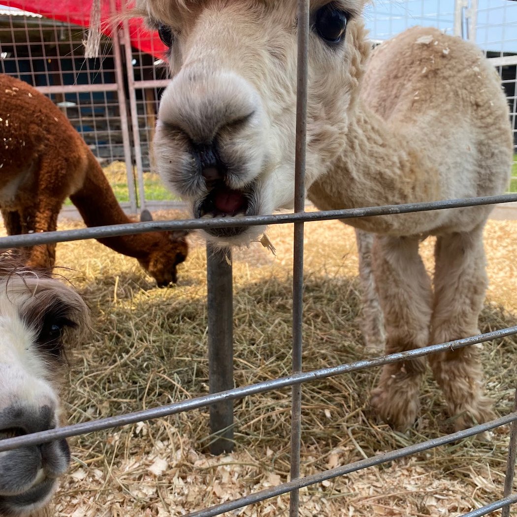 Washington County Fairgrounds 3