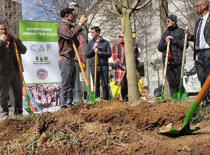 Forest Restoration with Trees Atlanta 2