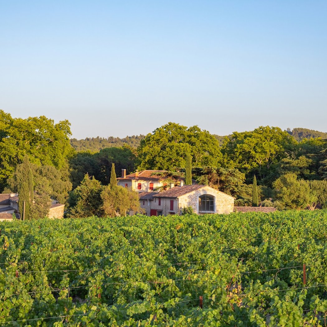 Les Musicales dans les Vignes 3