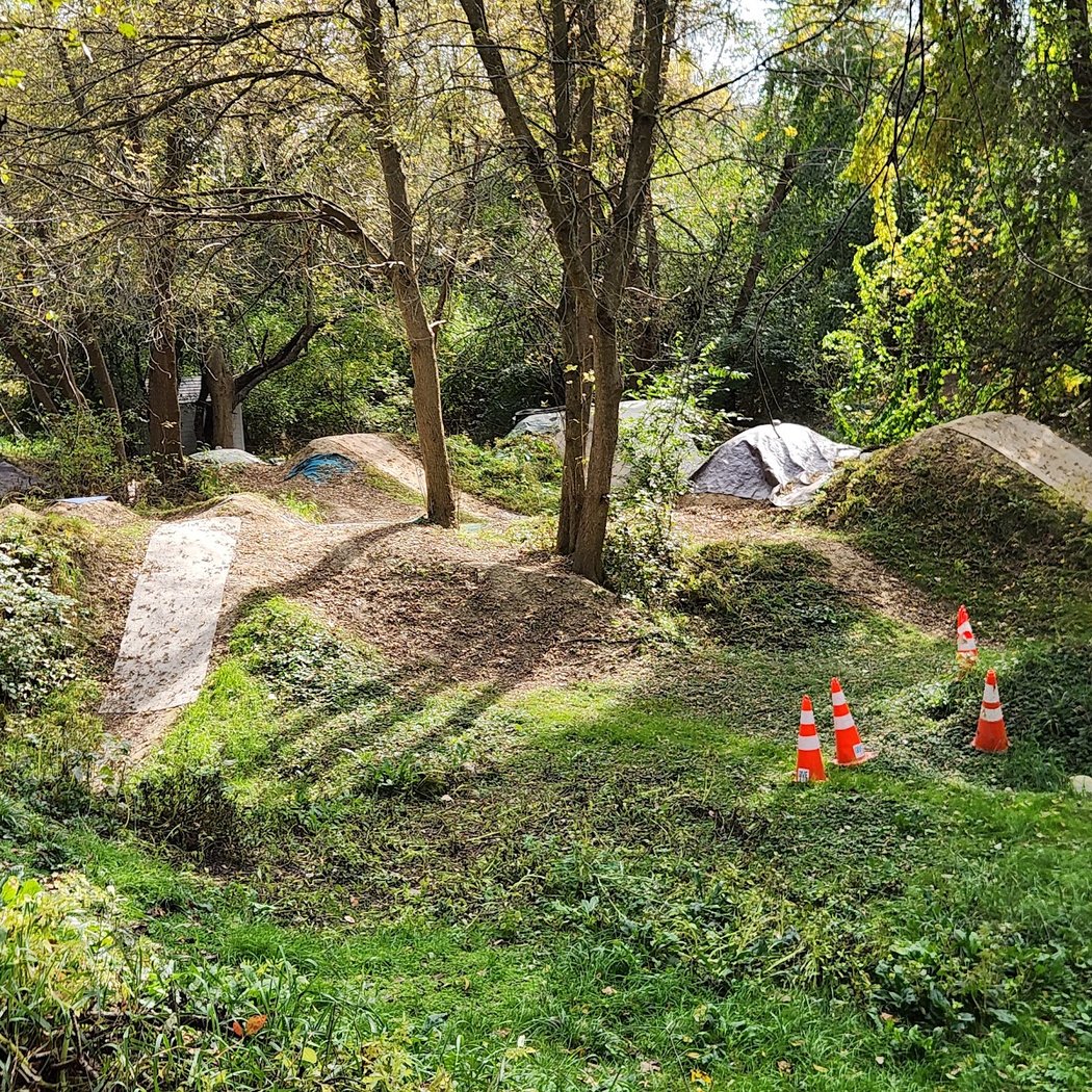 Tuebingen Park 4
