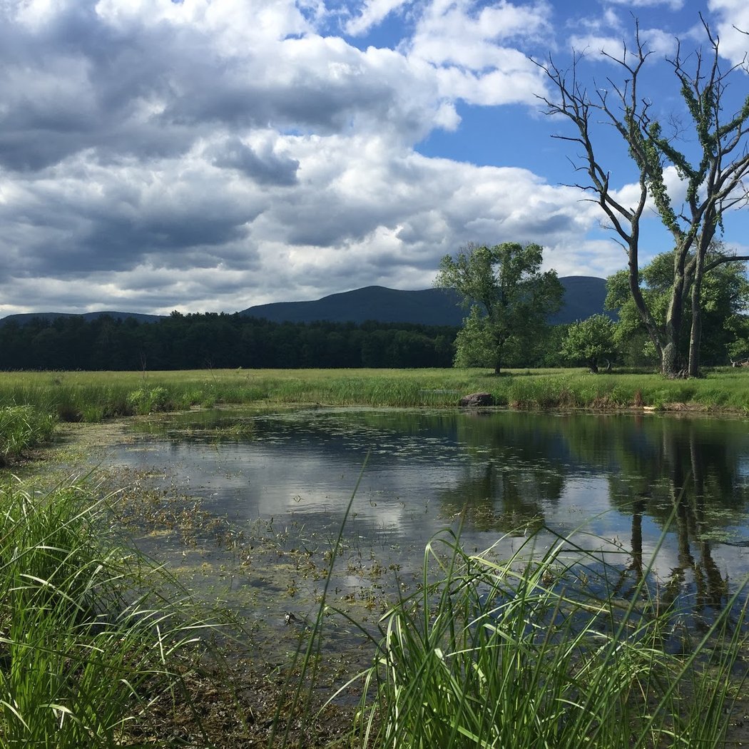 Thorn Preserve - Catskill Center 1