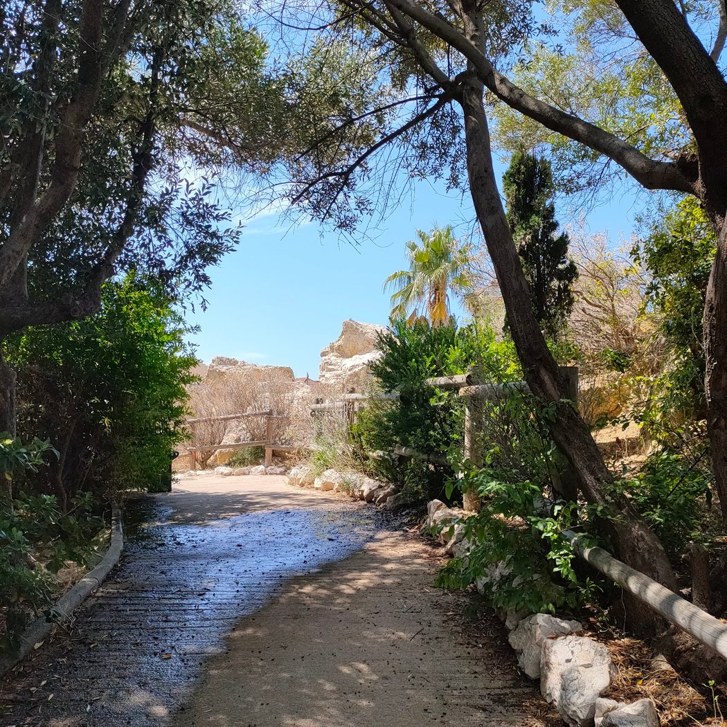 Jardin de Benedetti 3