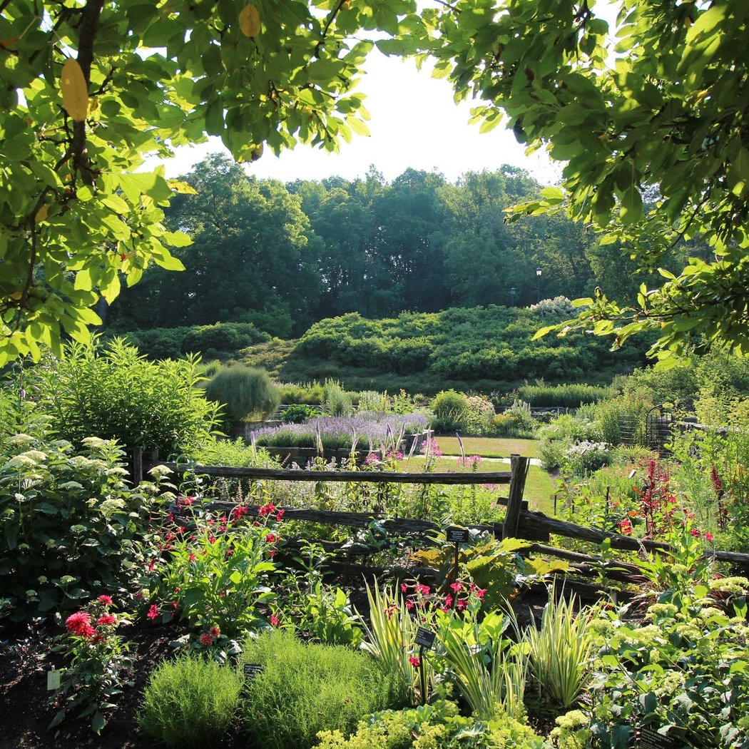 Cornell Botanic Gardens 2