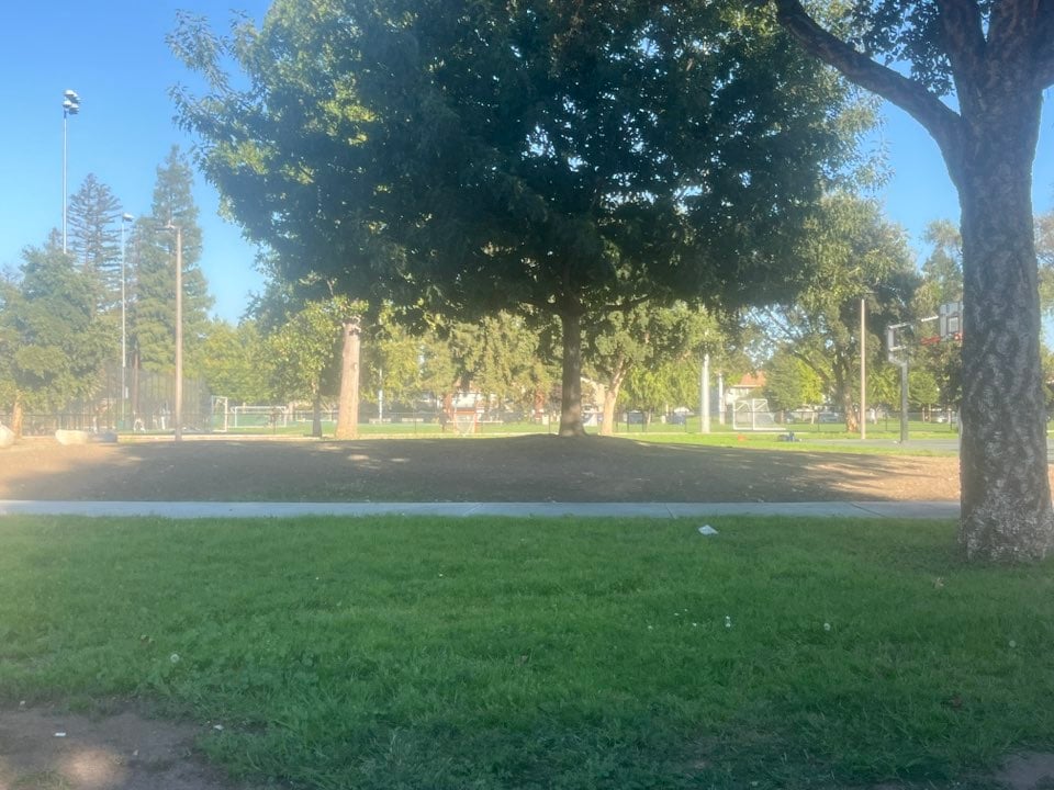 John Mise Park 2
