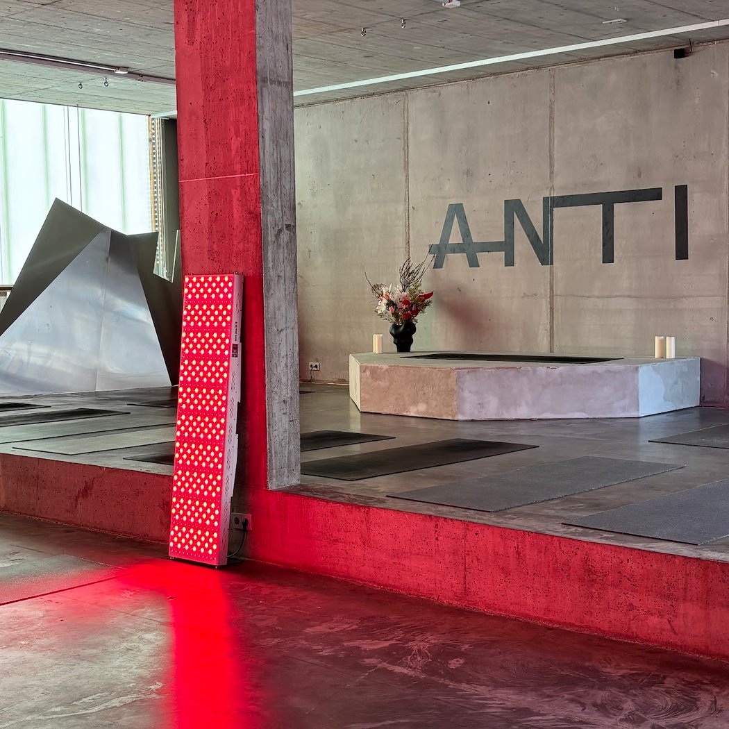 ANTI 2